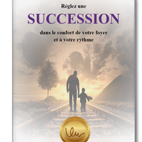 Aide-Mémoire SUCCESSION (Édition numérique)