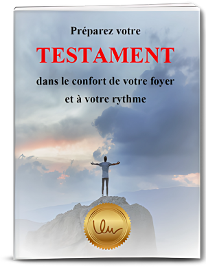 Aide-Mémoire Testament (Édition numérique)